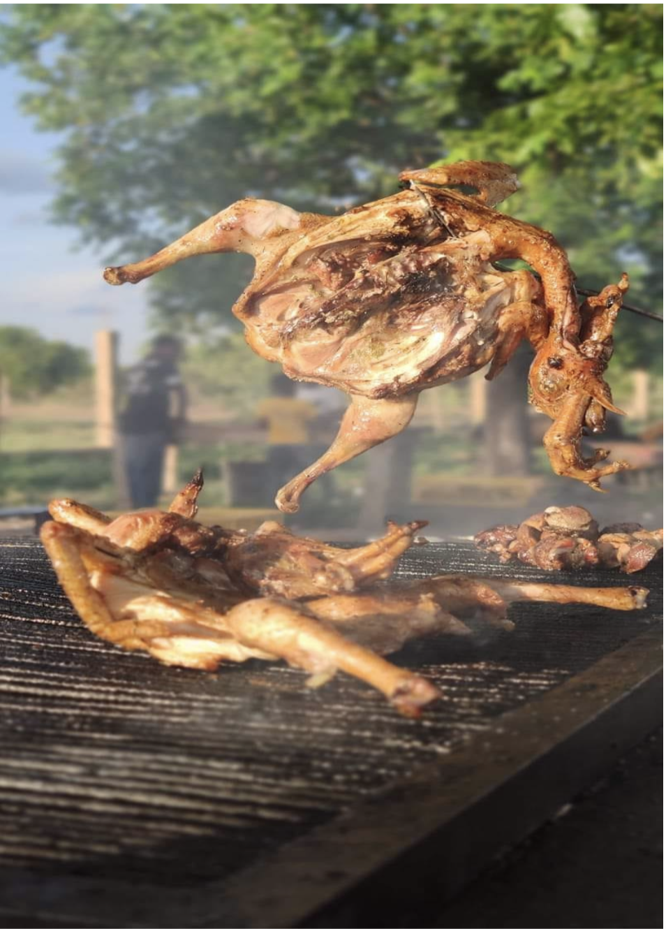 le poulet bicyclette, roi des marmites au burkina faso