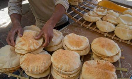fabrication du pain : l’egypte envisage d’ajouter du maïs et du sorgho à la farine de blé