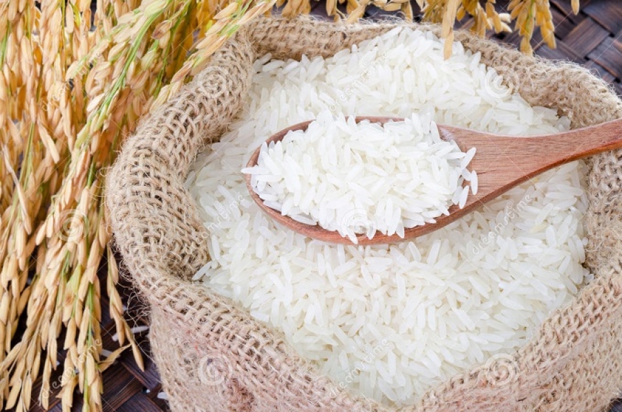 sécurité alimentaire : la côte d&rsquo;ivoire vise l&rsquo;autosuffisance rizicole d&rsquo;ici 2026
