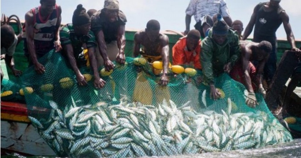 côte d’ivoire : les activités de pêche suspendues du 1er juillet au 31 août pour préserver les ressources halieutiques